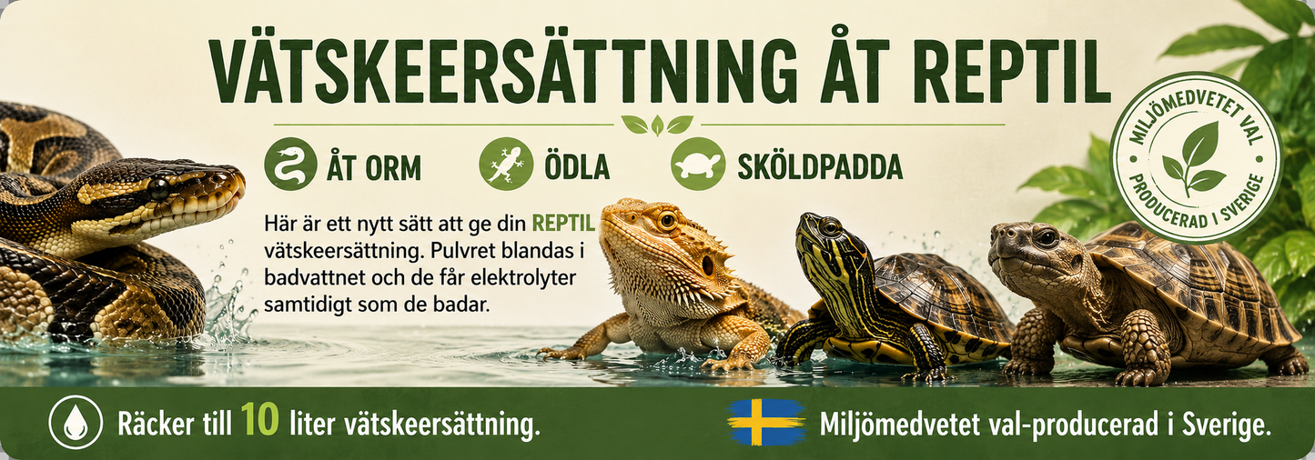 Vätskeersättning åt reptil-att bada i 50 g