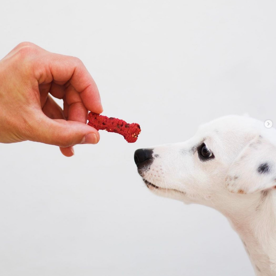 Lisboa Beet - Naturliga hundgodisar med superfoods 100 g