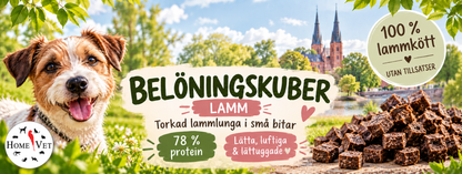Belöningskuber lammlunga 35 g