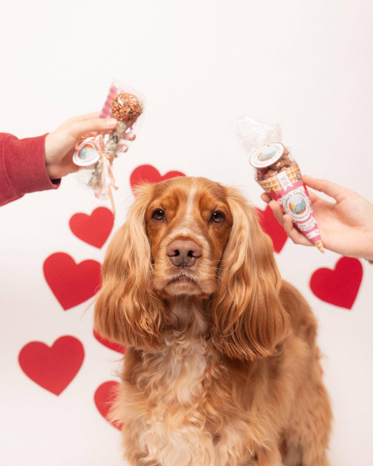 Pink Kisses-Kalkon och Tonfisk Hundgodis