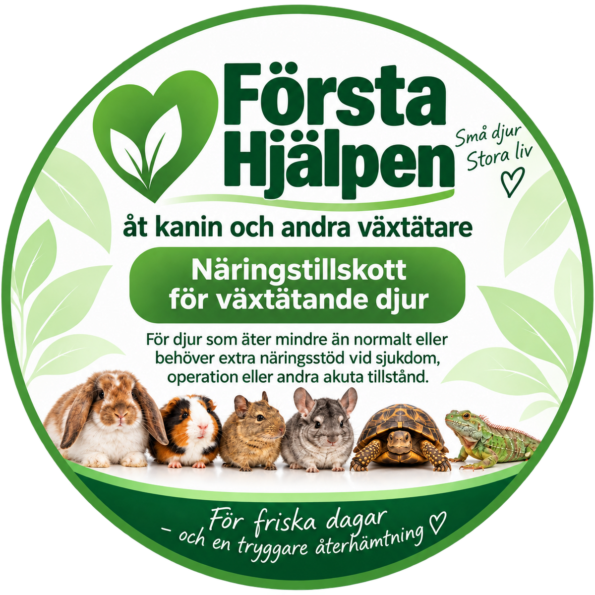Första Hjälpen åt kanin och andra växtätare