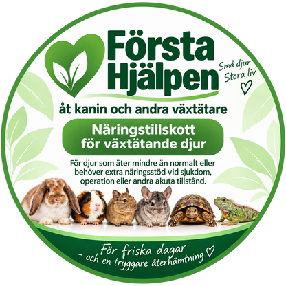 Första Hjälpen åt kanin och andra växtätare