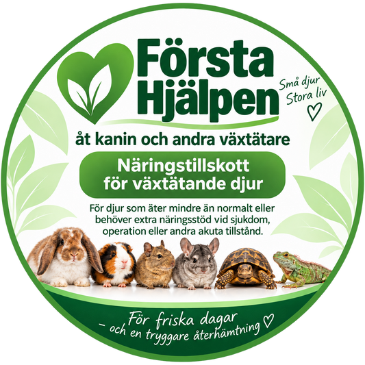 Första Hjälpen åt kanin och andra växtätare