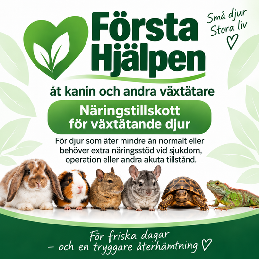 Första Hjälpen åt kanin och andra växtätare