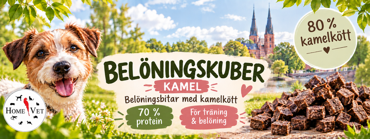 Belöningskuber kamelkött 75 g