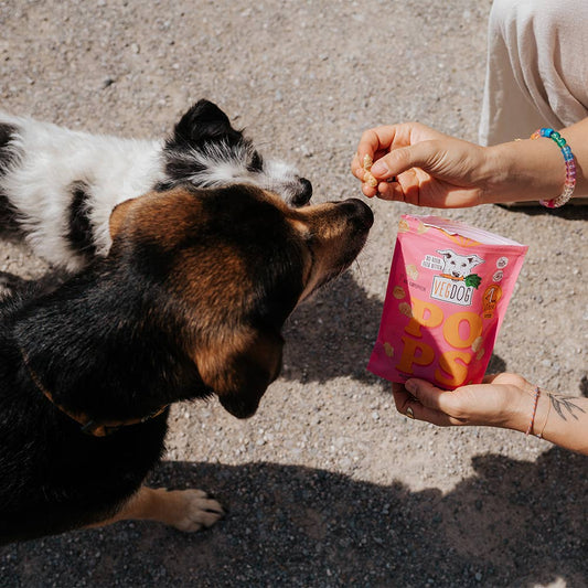POPS – Små, krispiga potatissnacks 20 g