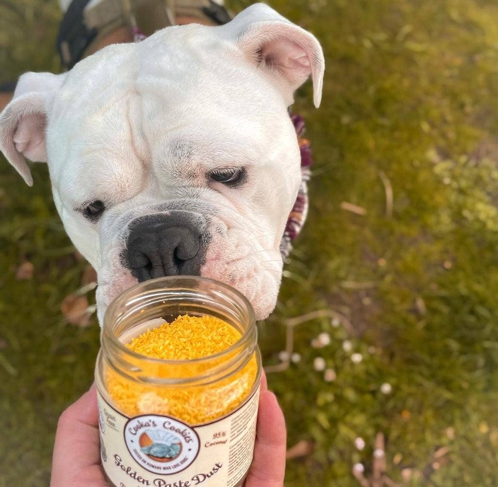 Golden Paste - Näringstillskott för måltider till katter & hundar 65 g