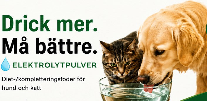 Vätskeersättning åt Hund, Katt och Iller 100 g
