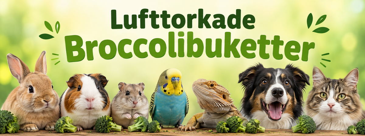 Torkad Broccoli Topping 45 g