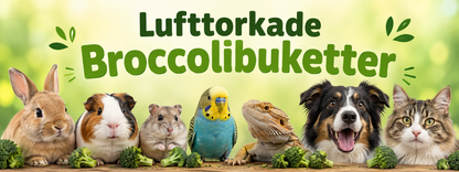 Torkad Broccoli Topping 45 g