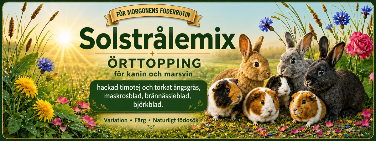 Solstrålemix – örttopping för växtätare 70 g
