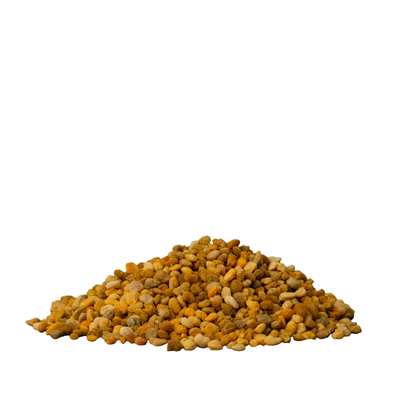 Bee Magic Måltidstillsats För Hundar 110 g