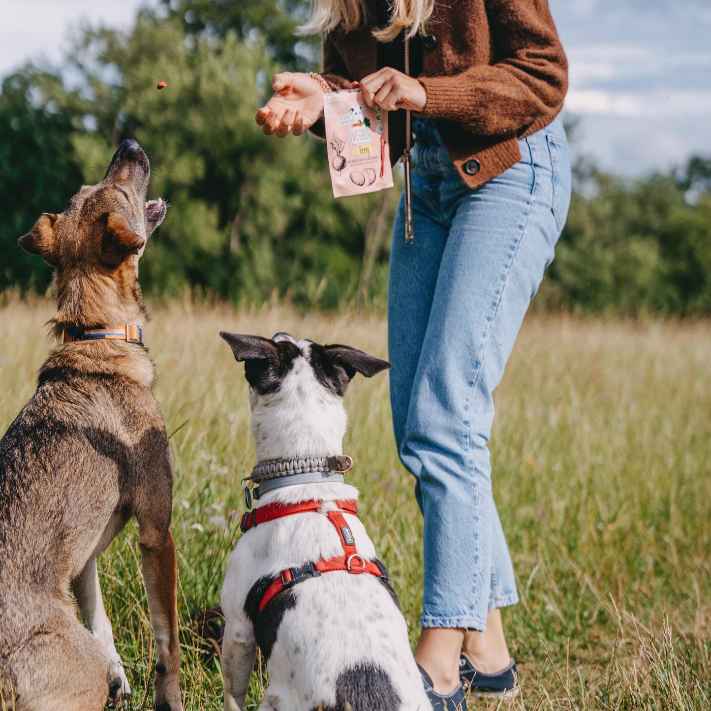 Beevys – Veganskt Hundgodis med Rödbeta 80 g