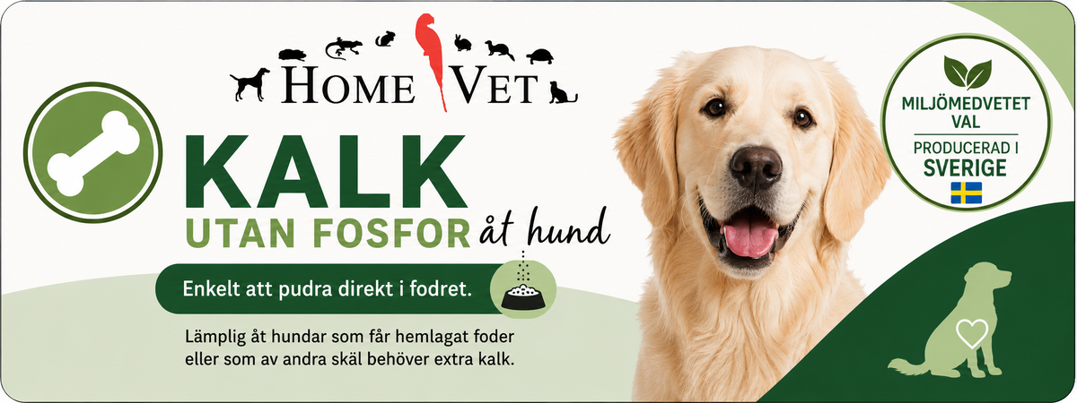 Kalk utan fosfor åt hund 200 g