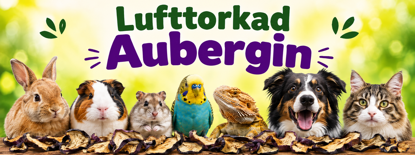 Aubergin 20 g