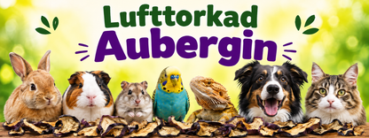 Aubergin 20 g