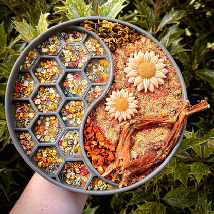 Rainbow Dogfetti – Superfoodströssel för hundmat och fest