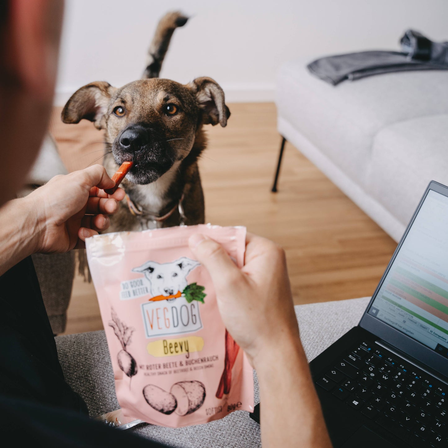 Beevys – Veganskt Hundgodis med Rödbeta 80 g