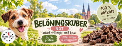 Belöningskuber nötlunga 35 g