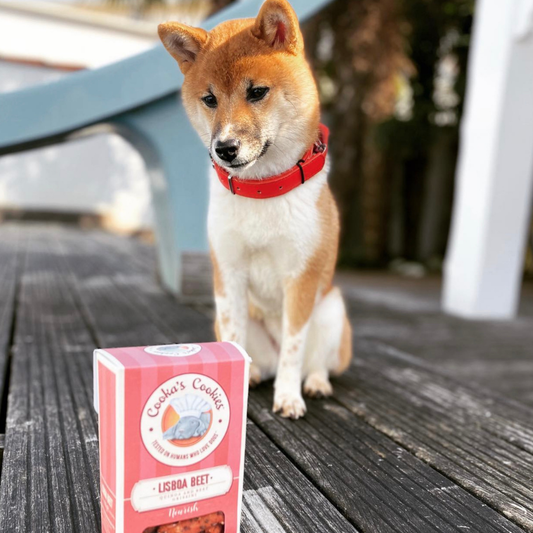 Lisboa Beet - Naturliga hundgodisar med superfoods 100 g