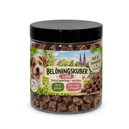 Lammlunga med vit bakgrund